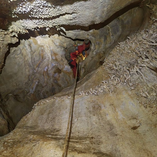 Jose Antonio Carrillo